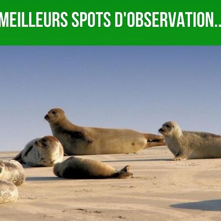 Les Couleurs Du Littoral Leilighet Boulogne-sur-Mer Eksteriør bilde